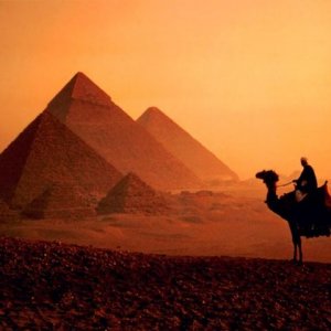 До туристов доводится информация о правилах перевозки багажа из Египта